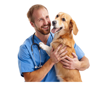 Un vétérinaire et son patient